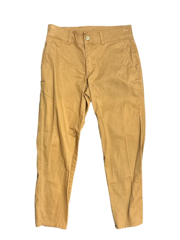 Brown Pants Cargo & Utility The North Face, Size 2